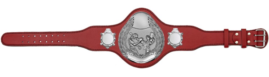 THAI BOXING CHAMPIONSHIP BELT-PLT301/S/TBOS-4 COLOURS